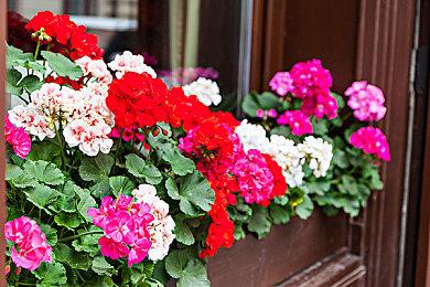 《魂斗罗4》团队射击游戏《蛛龙》将登陆PC和主机